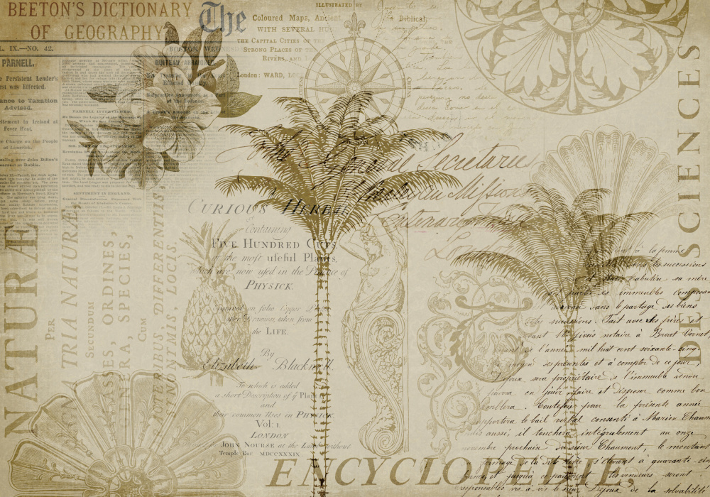 Tropical Encyclopedia von Andrea Haase