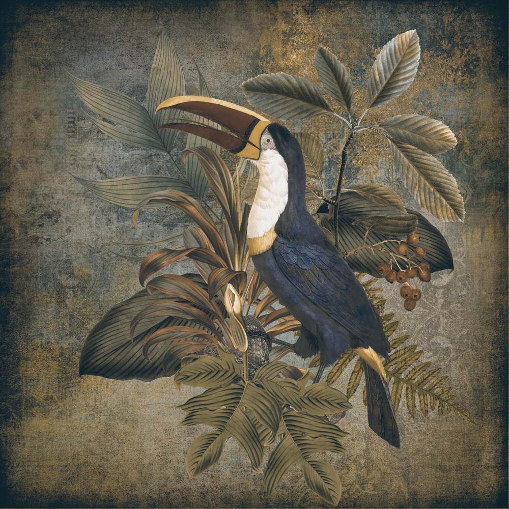 Toucan 2 von Andrea Haase