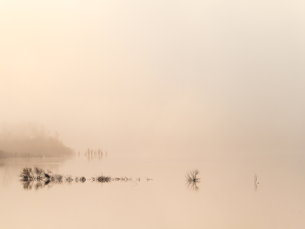 lake von Andrea Lorenzetti