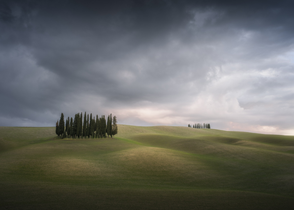 The hills of paradise von Andrea Maestosi