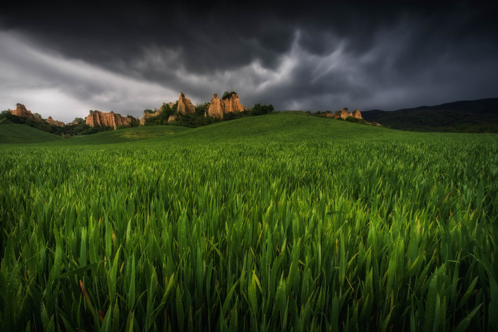 Scent of storm von Andrea Maestosi