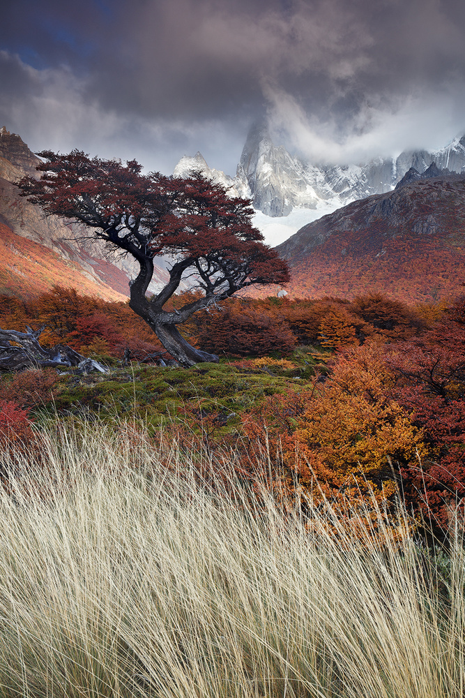 Mists of time von Andrea Pozzi