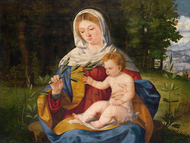 The Virgin and Child with a shoot of Olive, c.1515 von Andrea Previtali