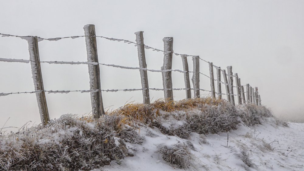 FIRST SNOW von Andrea Repetto