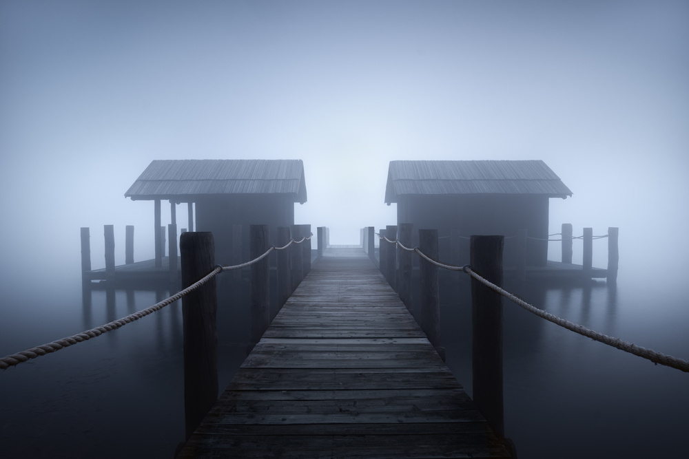 Alone in the fog von Andrea Zappia