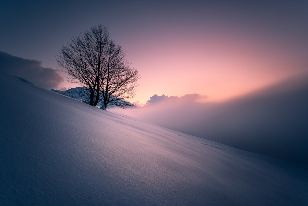 The noise of silence von Andrea Zappia