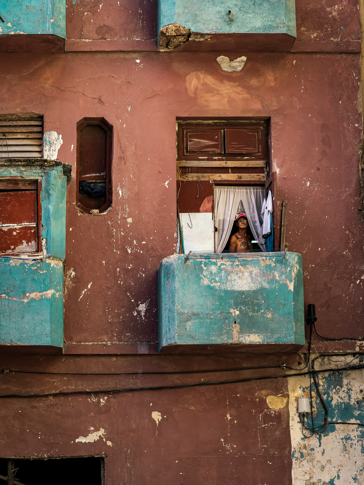 Looking out the window von Andreas Bauer