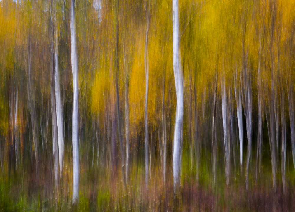 Abstract Fall von Andreas Christensen