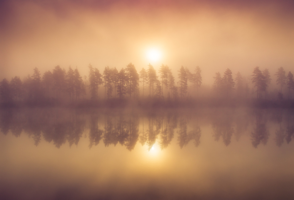 Tree Line von Andreas Christensen