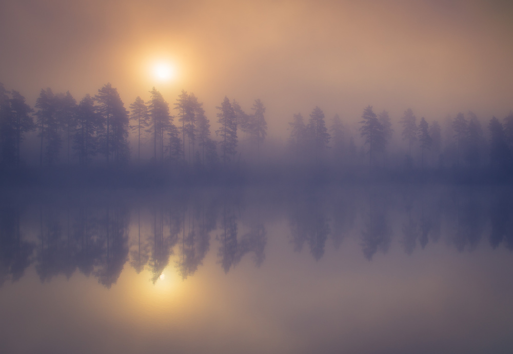 Misty trees von Andreas Christensen