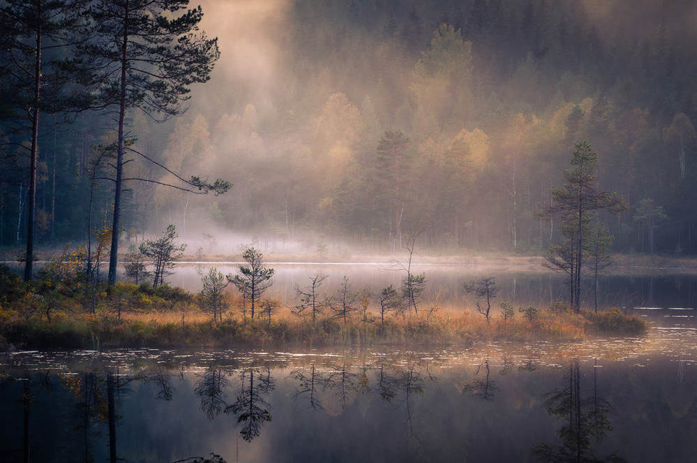 Misty Moment von Andreas Christensen