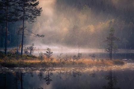 Misty Moment