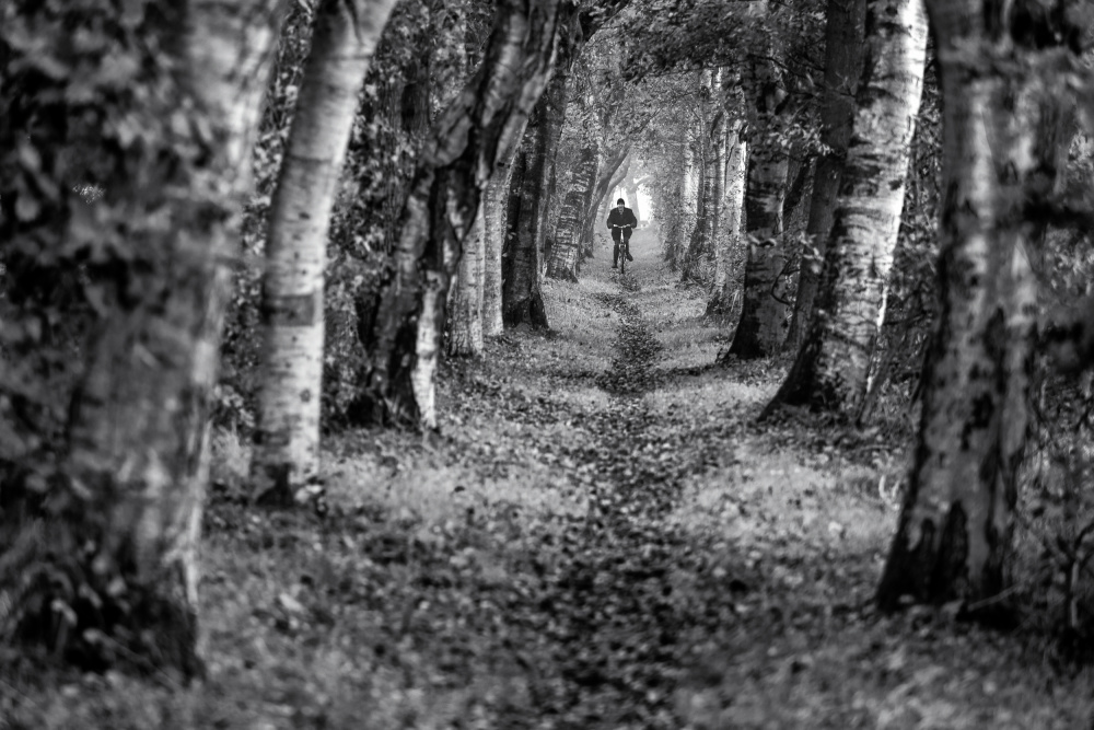 At the beginning of a tunnel von Andreas Klesse