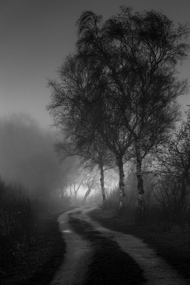 Fog von Andreas Klesse