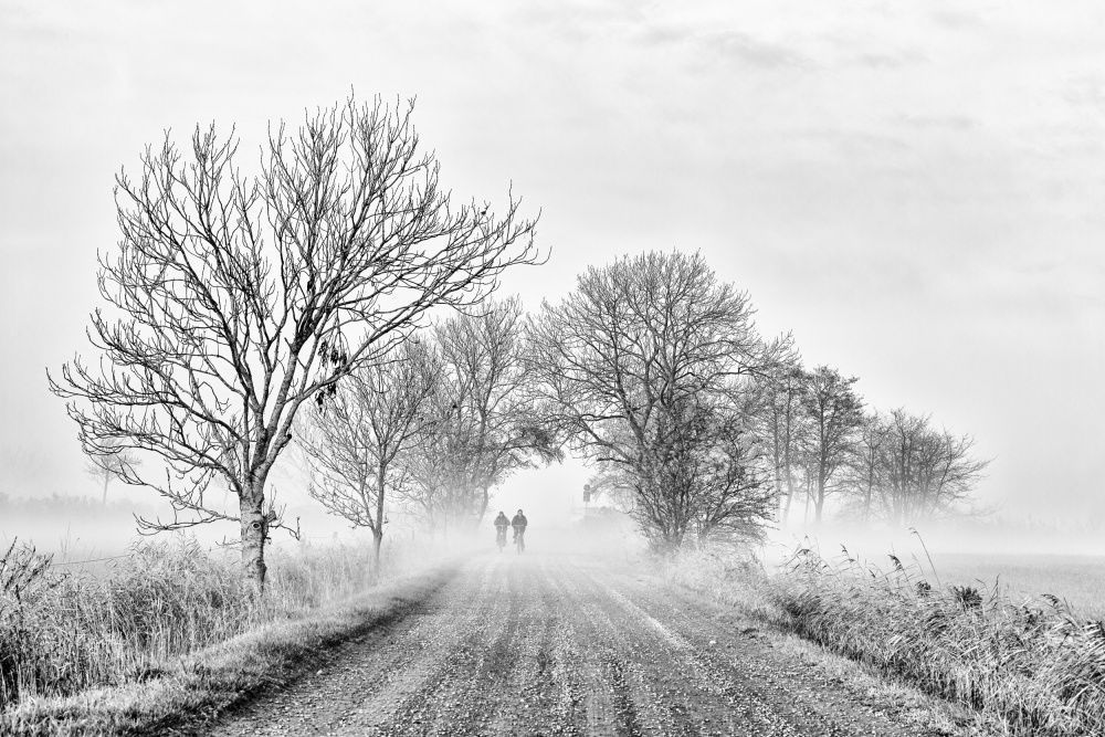 Foggy morning von Andreas Klesse