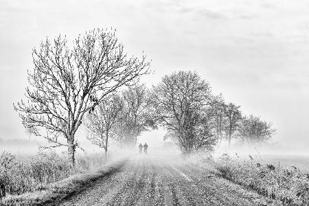 Foggy morning