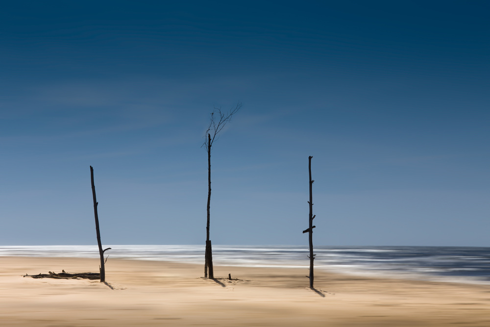 Coast Line von Andreas Krinke