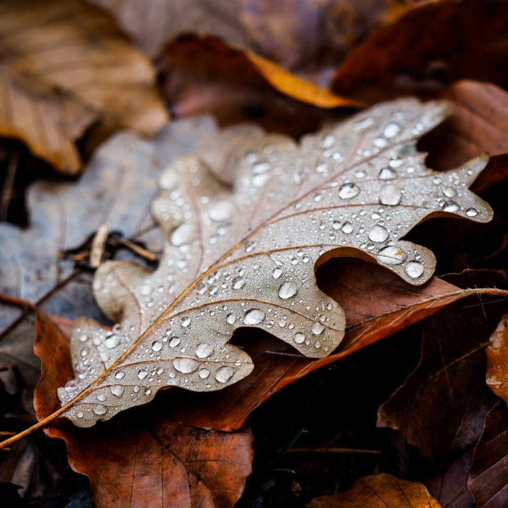 Traces of life von Andreas Krinke