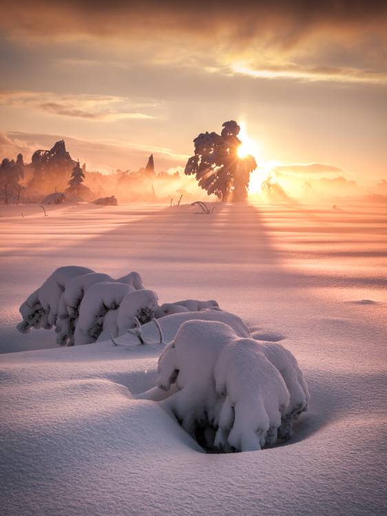 After the Storm von Andreas Wonisch