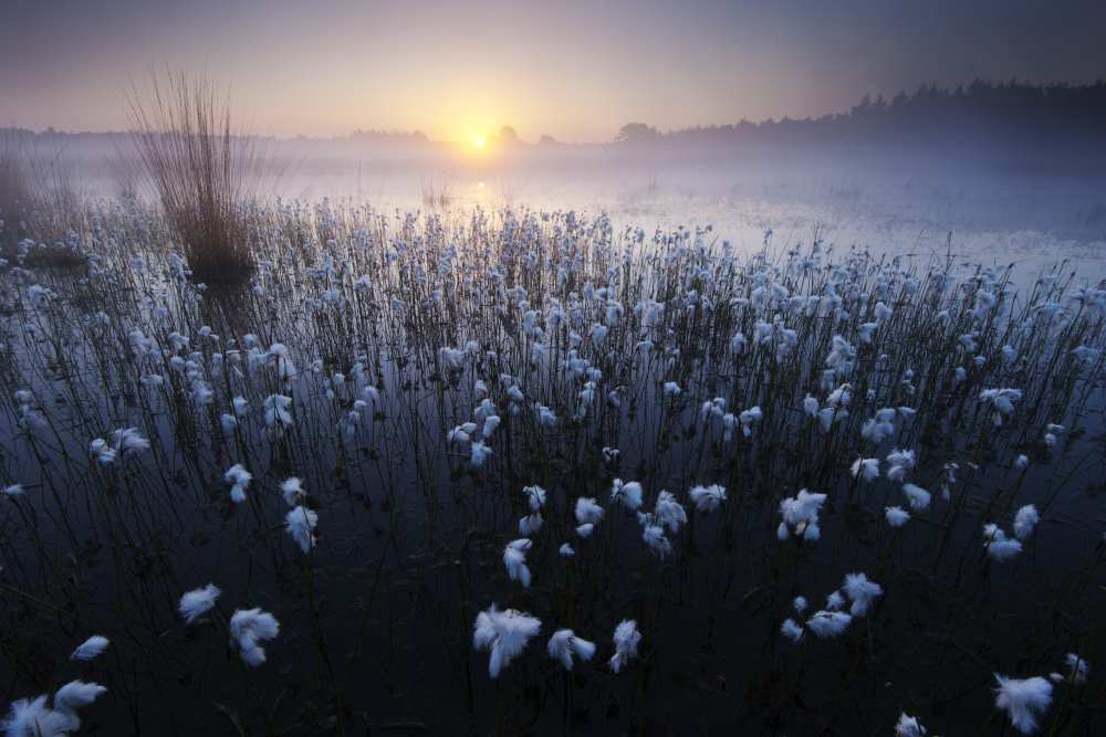 In the blues von Andrew George