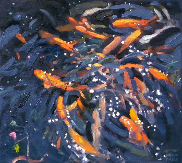 Goldfish von Andrew  Macara