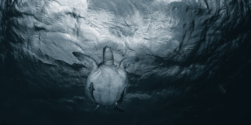 Pattern of the sea von Andrey Narchuk