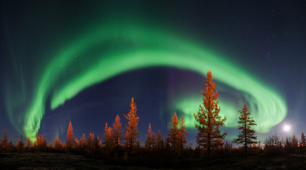 Northern lights von Andrey Snegirev