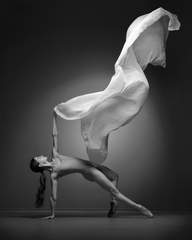 Art Of Movement Series von ANDREY STANKO