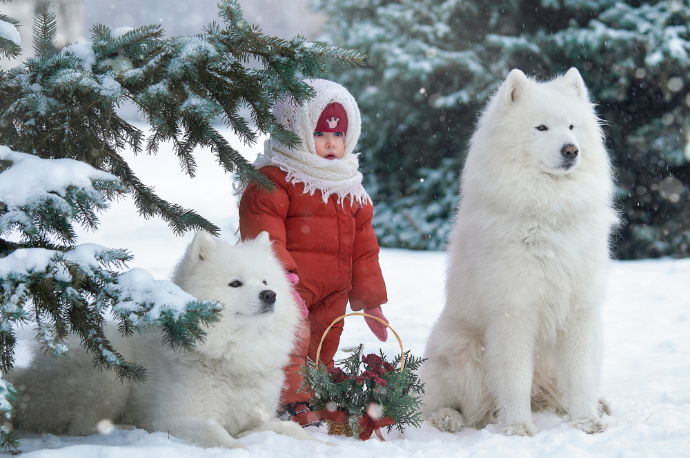 Winter mood von Andrii Kazun