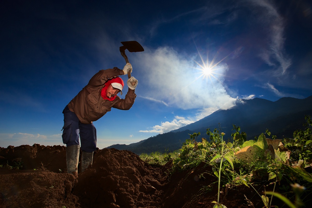 Indonesian Farmer von Andy Akbar