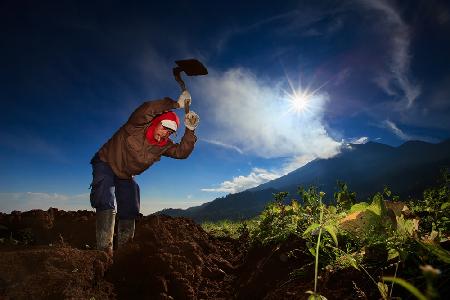 Indonesian Farmer