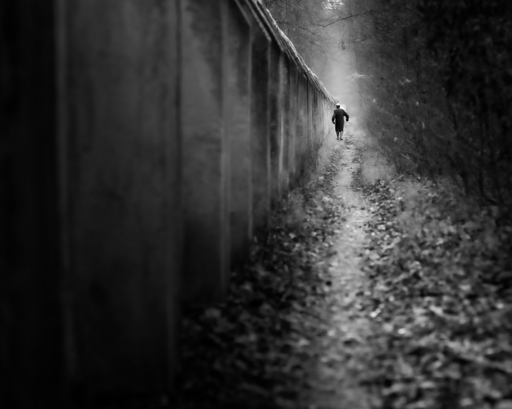 walking alone von Andy Dauer