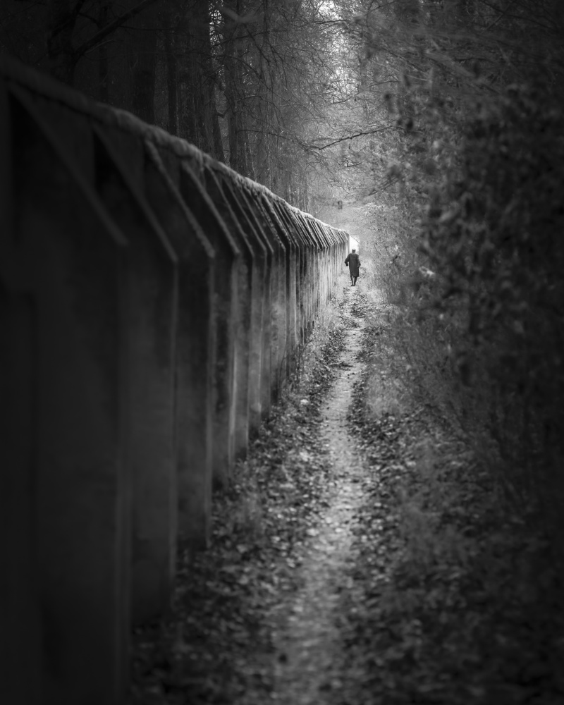 walking alone II von Andy Dauer