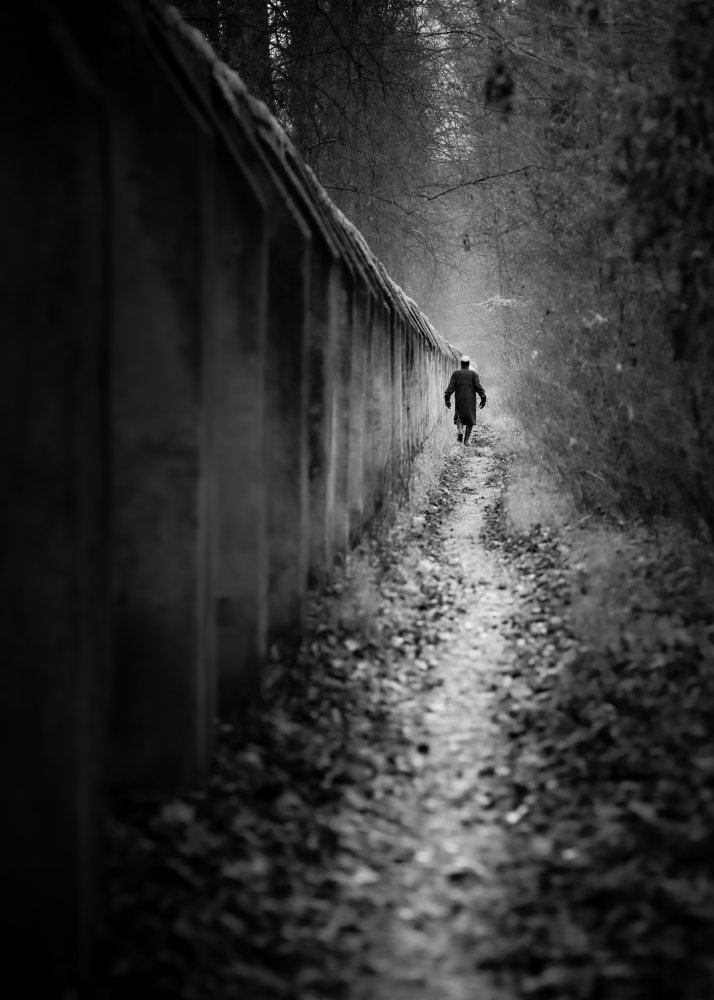 mankind is walking a narrow path von Andy Dauer