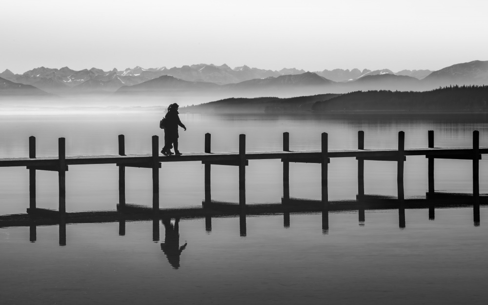 freedom von Andy Dauer