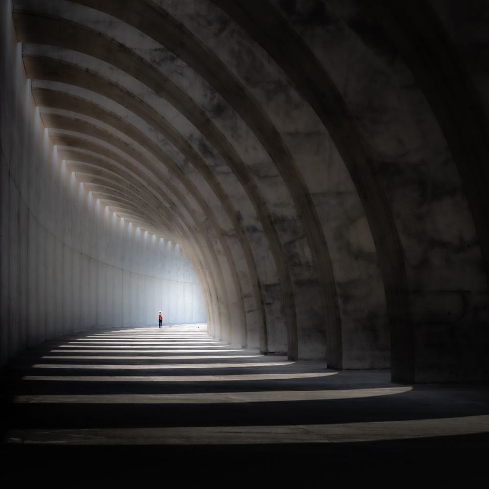 lost in concrete von Andy Dauer