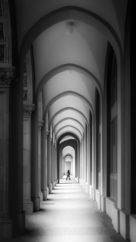 crossing von Andy Dauer