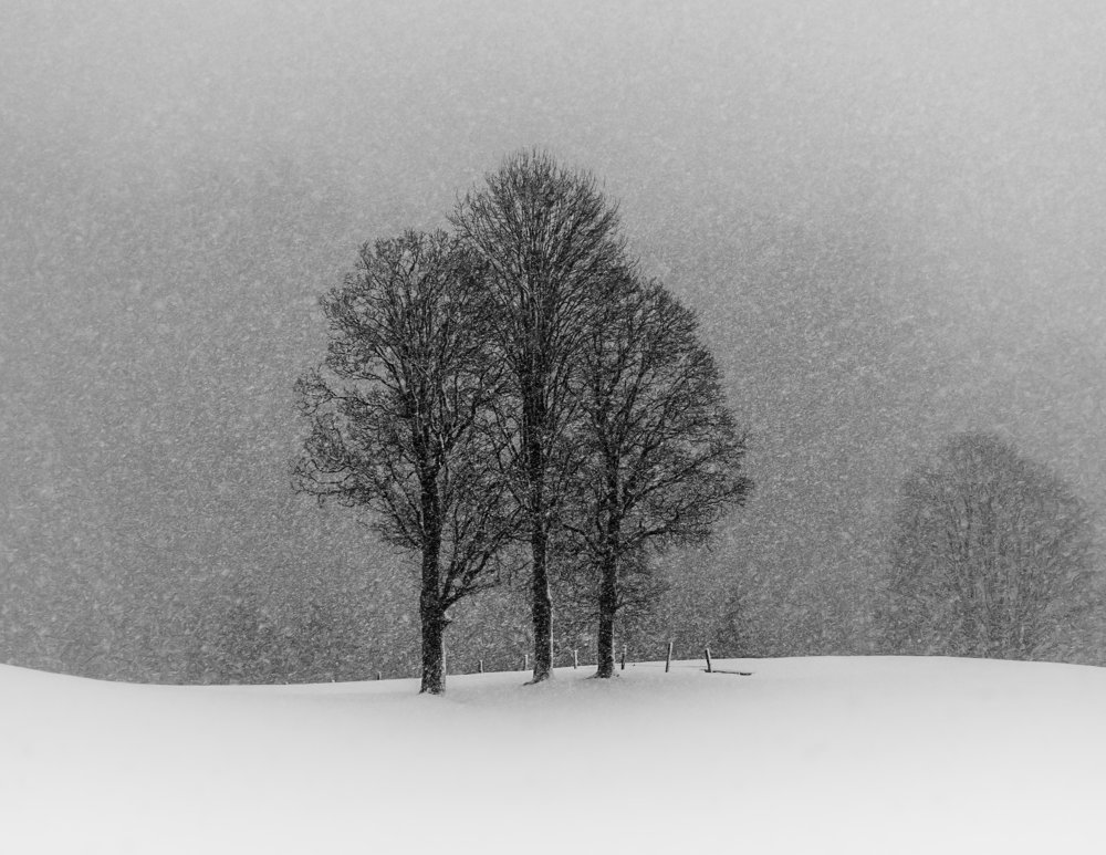 let it snow von Andy Dauer