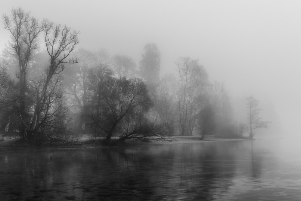 lakeview von Andy Dauer