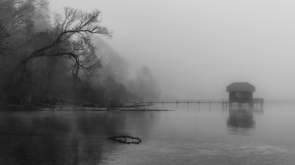 lakeview II von Andy Dauer