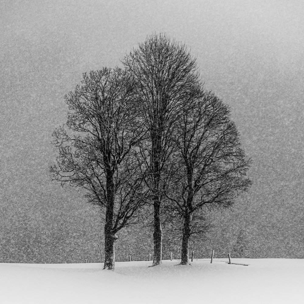 dreaming von Andy Dauer