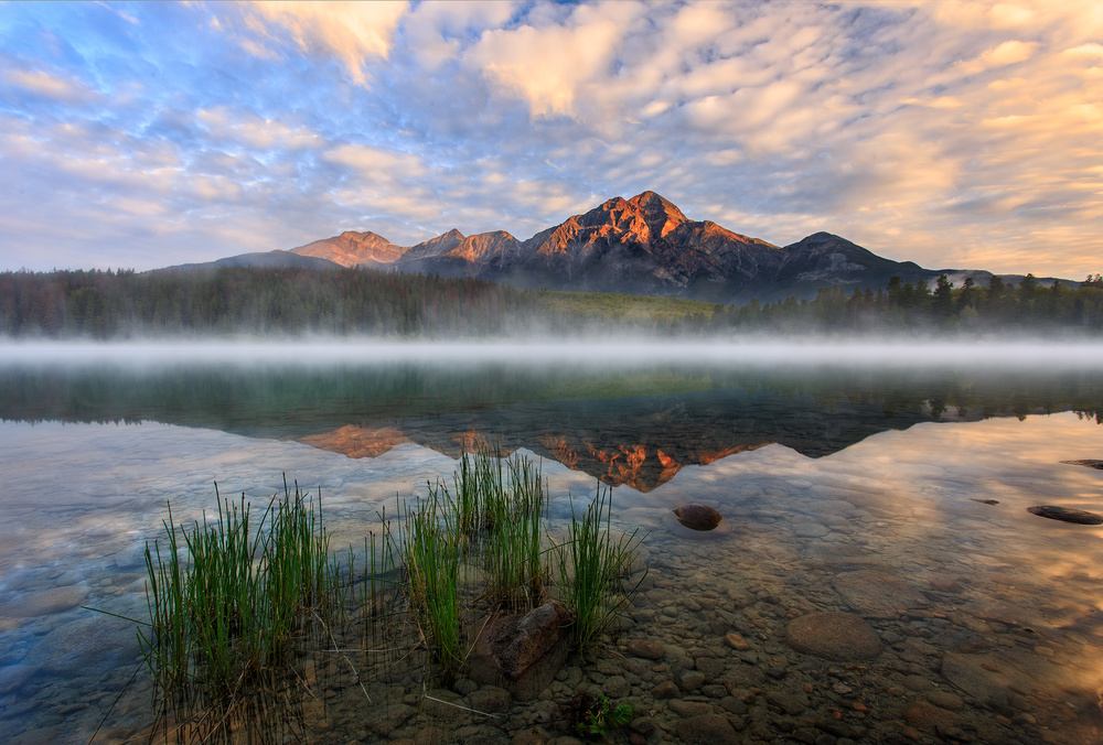 Golden Moment von Andy Hu