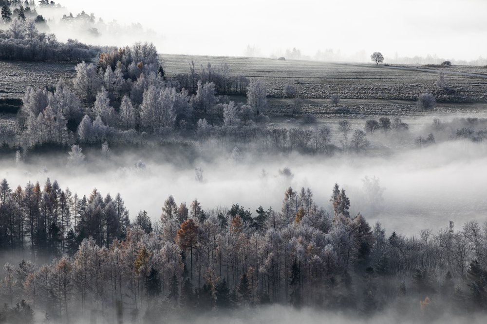 monochromatic morning von Aneta Mikulska