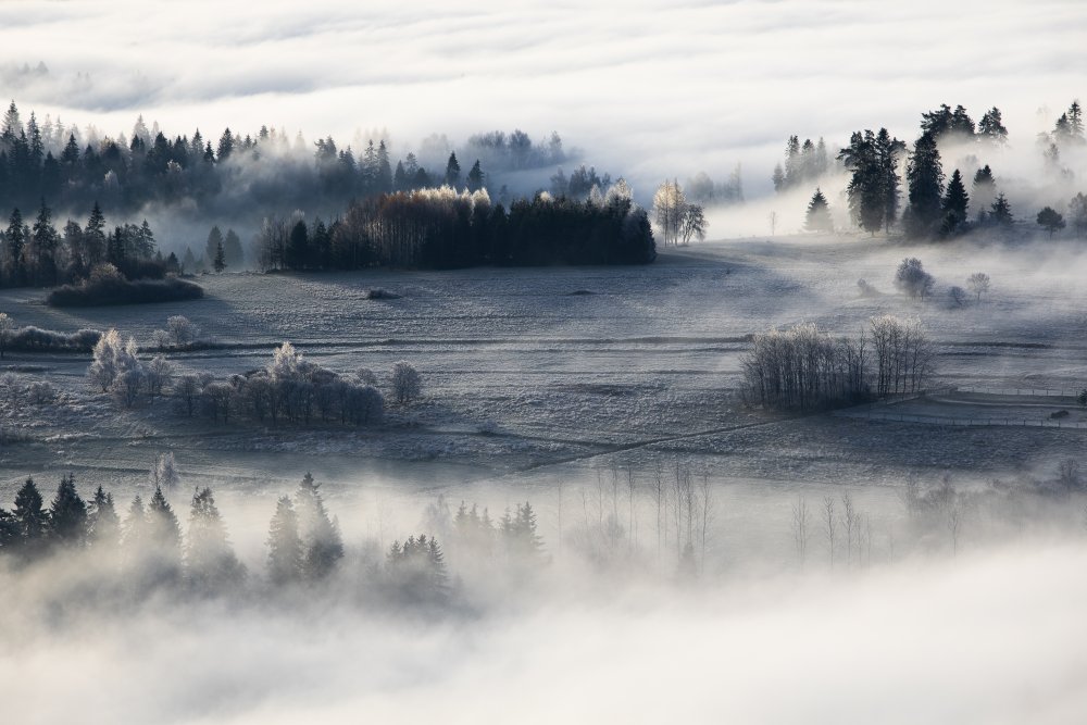 misty &amp; frosty morning von Aneta Mikulska