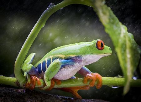 Waiting for the Rain to stop