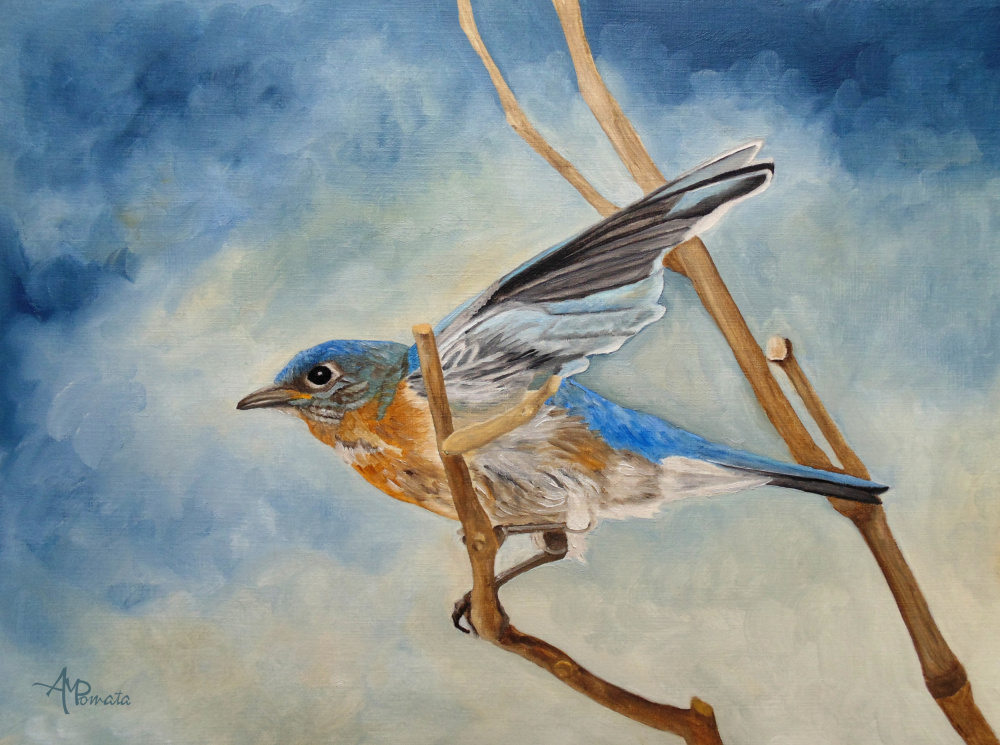 Bluebird, Blue Morning von Angeles M. Pomata