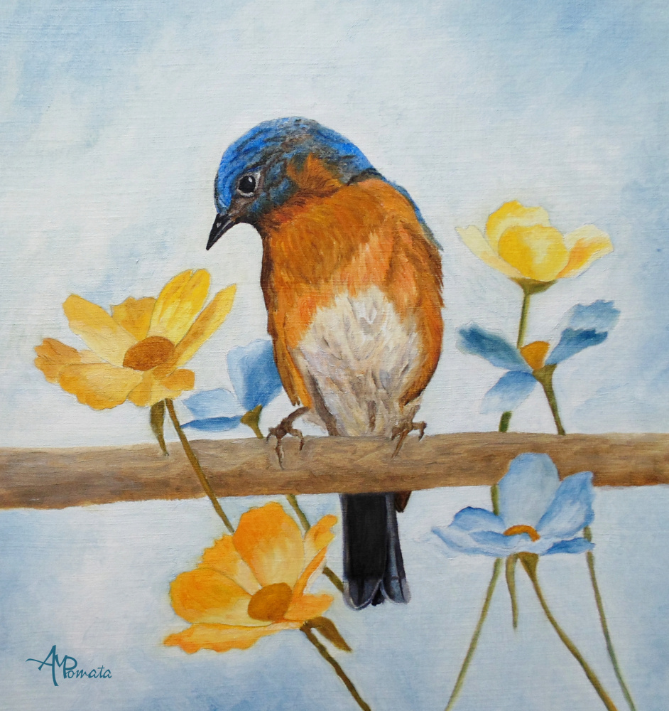 Flower Peeping Eastern Bluebird von Angeles M. Pomata