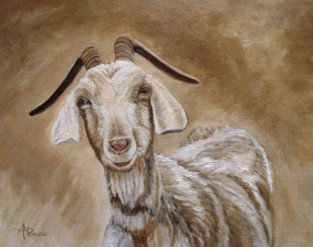 The Smile of a Goat von Angeles M. Pomata