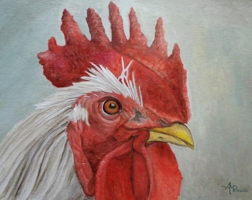 Mister Rooster von Angeles M. Pomata