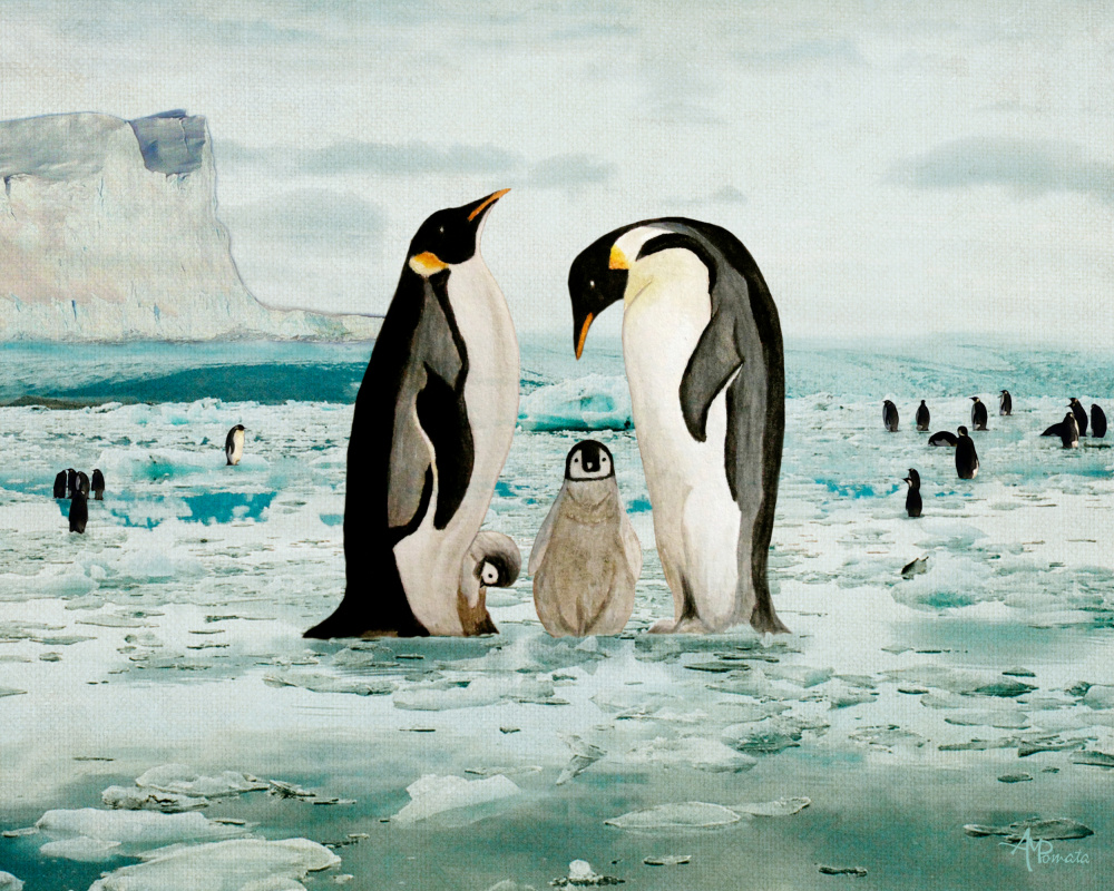 Emperor Penguin Family von Angeles M. Pomata